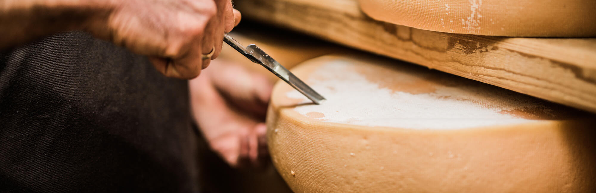 Qualitätsmanagement​